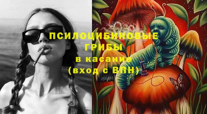 Галлюциногенные грибы Psilocybe  купить  сайты  Фёдоровский 